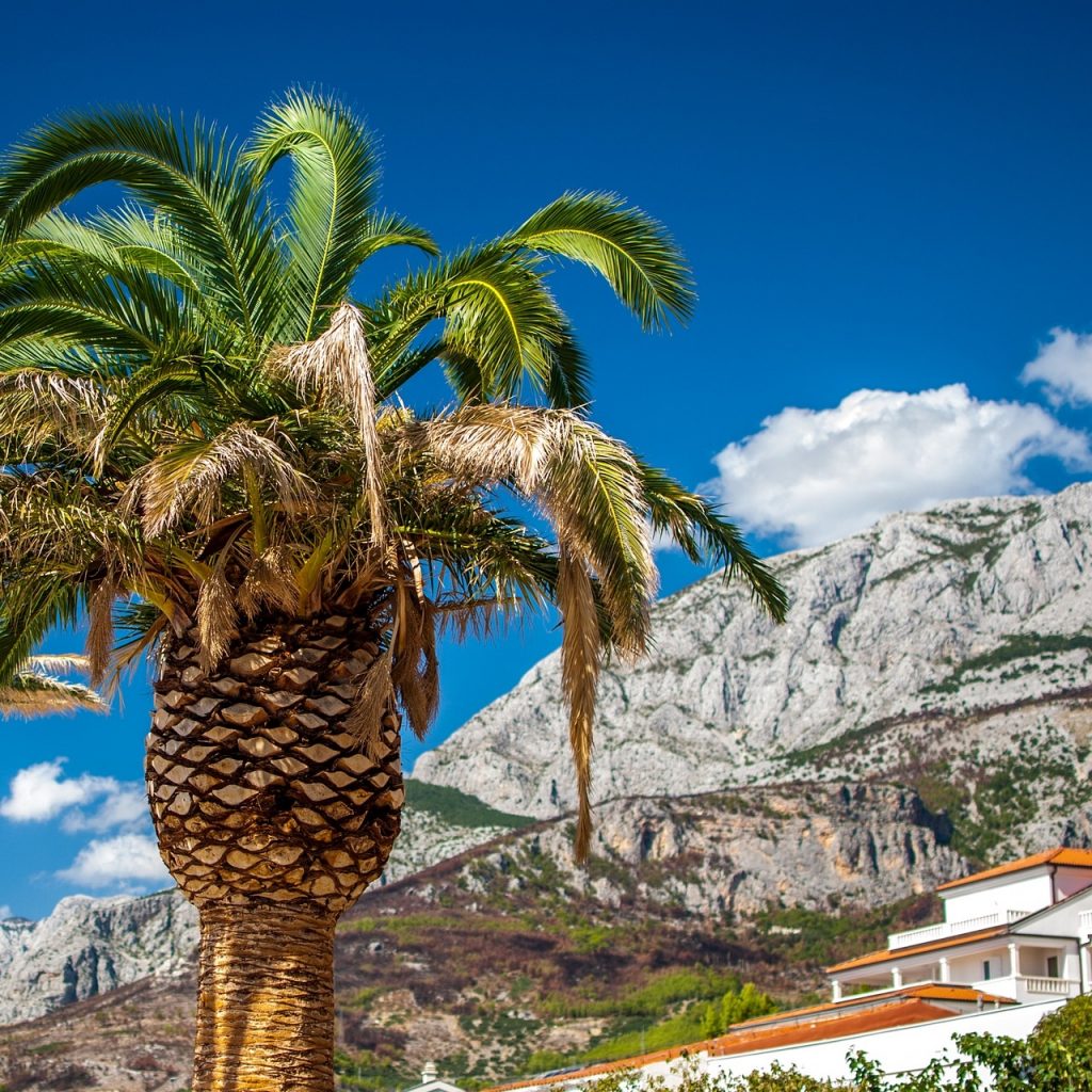 Makarska